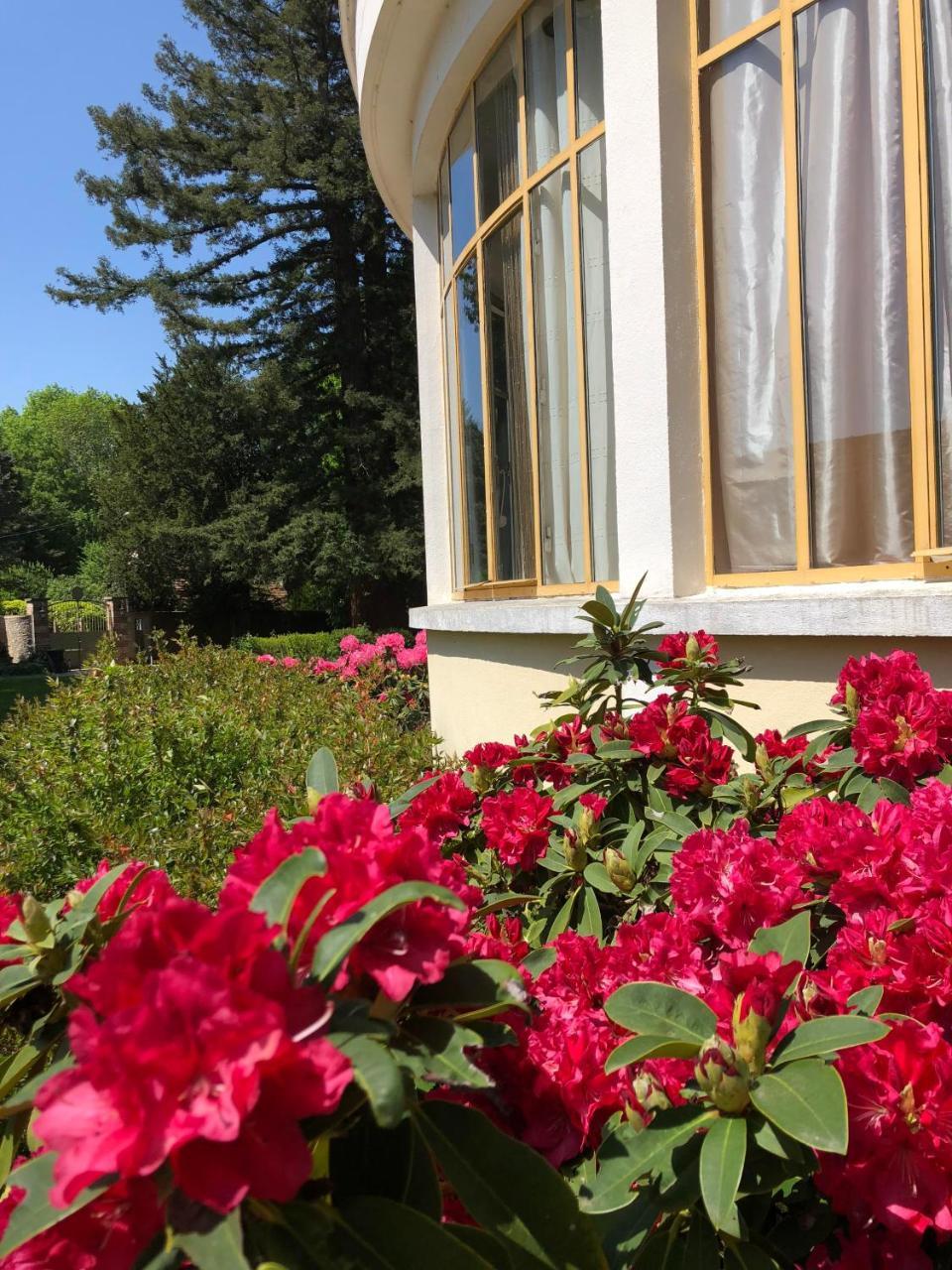Forges-les-Bains La Villa Rochette المظهر الخارجي الصورة